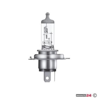 Крушка H4 24V